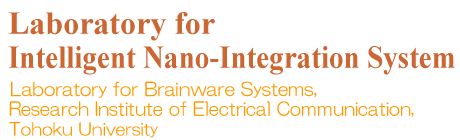 Laboratory for Intelligent Nano-Integration System